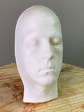 Face Armature Solid Resin