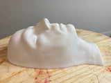 Face Armature Solid Resin