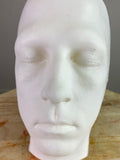 Face Armature Solid Resin