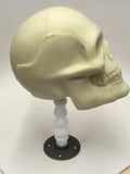 Skull Armature Sculpting Kit