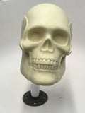 Skull Armature Sculpting Kit