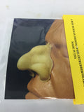 Large Witch Nose