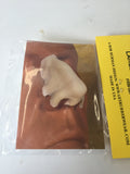 Large Aquiline Nose